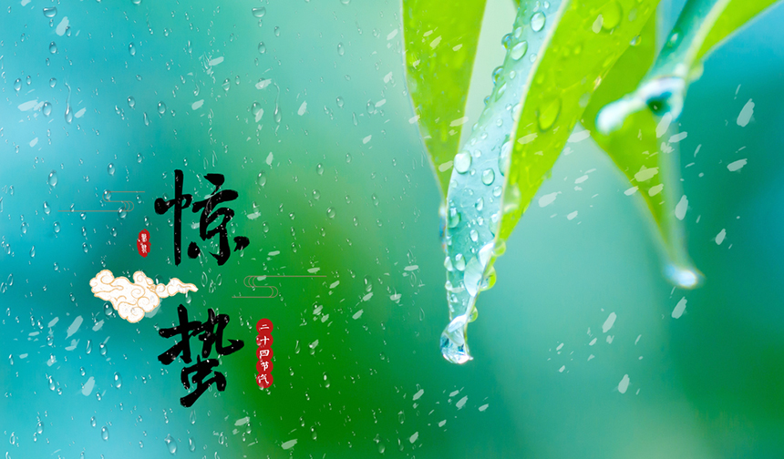樅木驚蟄節(jié)氣志|碰一碰不散的酒杯，共赴春天的約會(huì)！