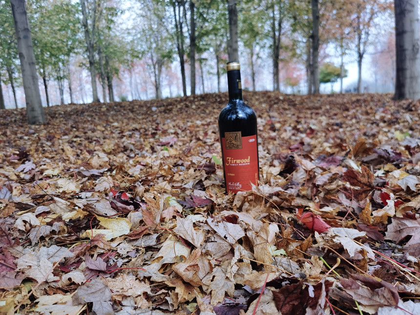 樅木紅酒小課堂 | 葡萄酒瓶越重，酒的品質就越好嗎？