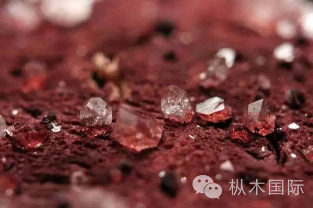說說紅酒里的沉淀物