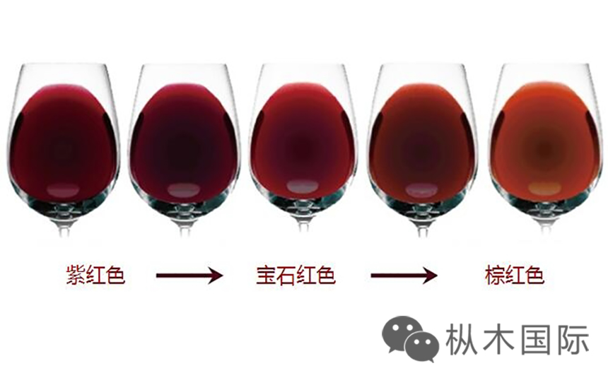 葡萄酒按顏色分為哪幾類？