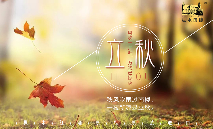 樅木節氣志|立于醇熟之境，奔赴希望之秋！