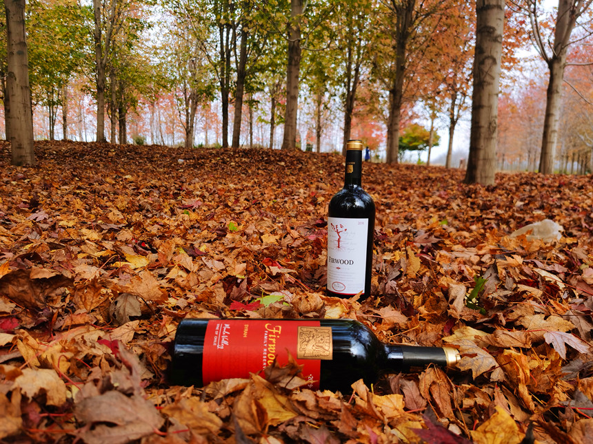 樅木紅酒小課堂 | 怎樣看紅酒條形碼上的原產(chǎn)地