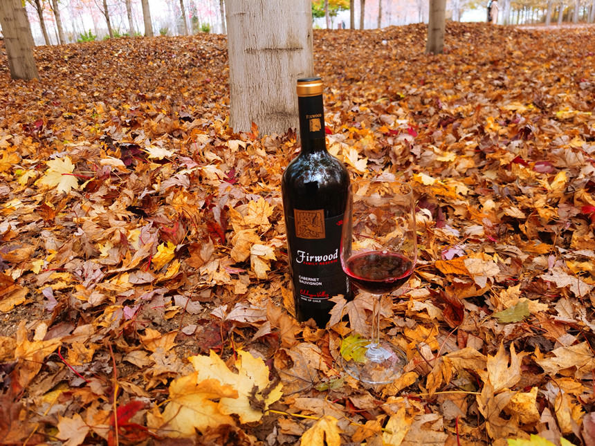 樅木紅酒小課堂 | 葡萄酒瓶越重，酒的品質(zhì)就越好嗎？